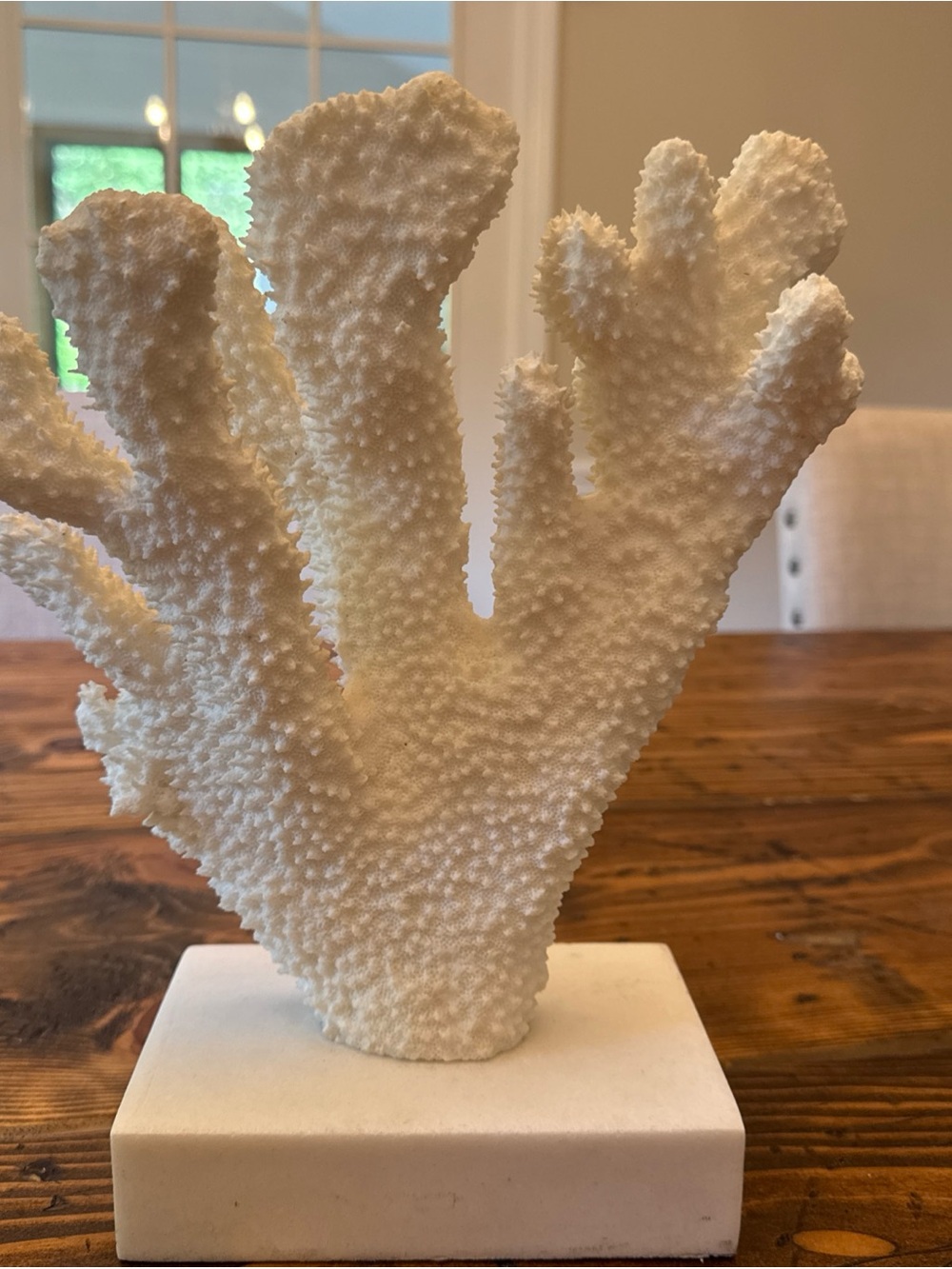 Decorative White Coral Sculpture on Marble Base - Home Art Accent